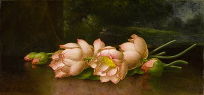 Lotus Flowers with a Landscape Painting in the Background by Martin Johnson Heade